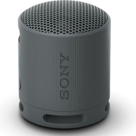 Altavoz Portable con Bluetooth Sony Negro